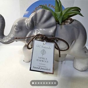 GC Naturals Scented Elephant Planter Decor